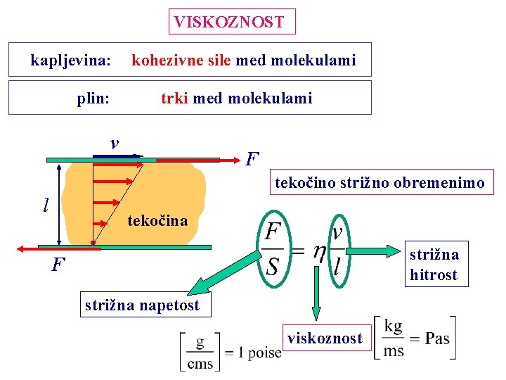 VISKOZNOST kapljevina: plin: kohezivne sile med molekulami trki med molekulami v F tekočino strižno