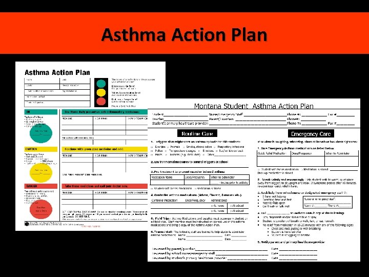 Asthma Action Plan 