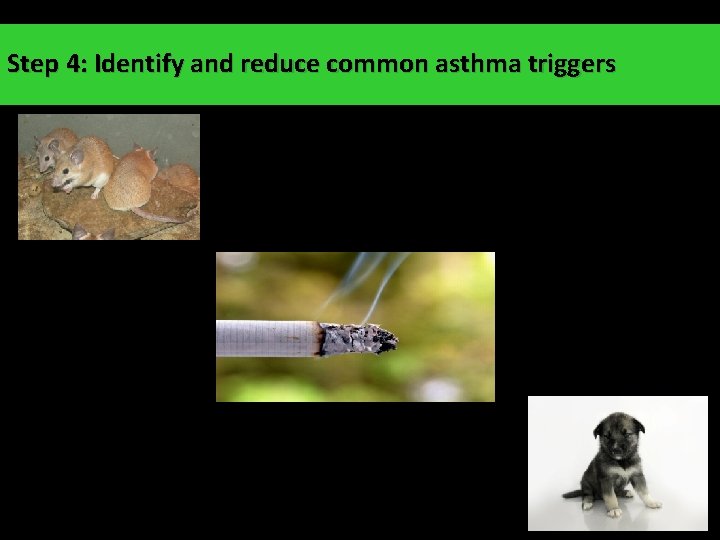 Step 4: Identify and reduce common asthma triggers 