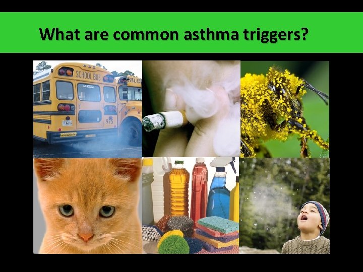 What are common asthma triggers? 