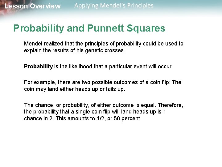 Lesson Overview Applying Mendel’s Principles Probability and Punnett Squares Mendel realized that the principles