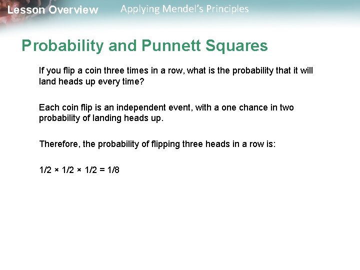 Lesson Overview Applying Mendel’s Principles Probability and Punnett Squares If you flip a coin