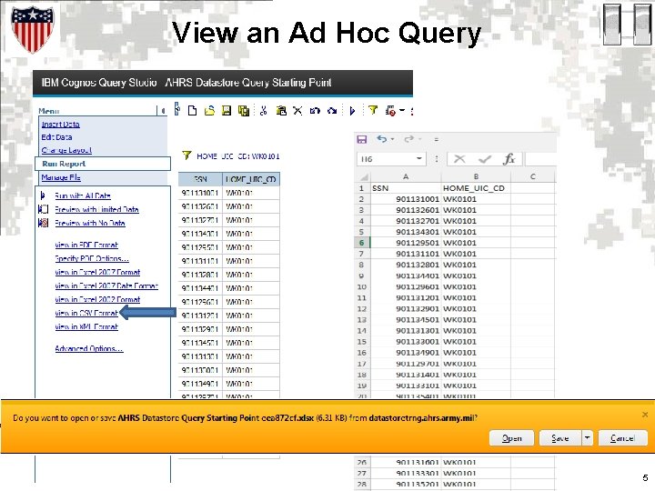 View an Ad Hoc Query 5 View an Ad Hoc Query 5