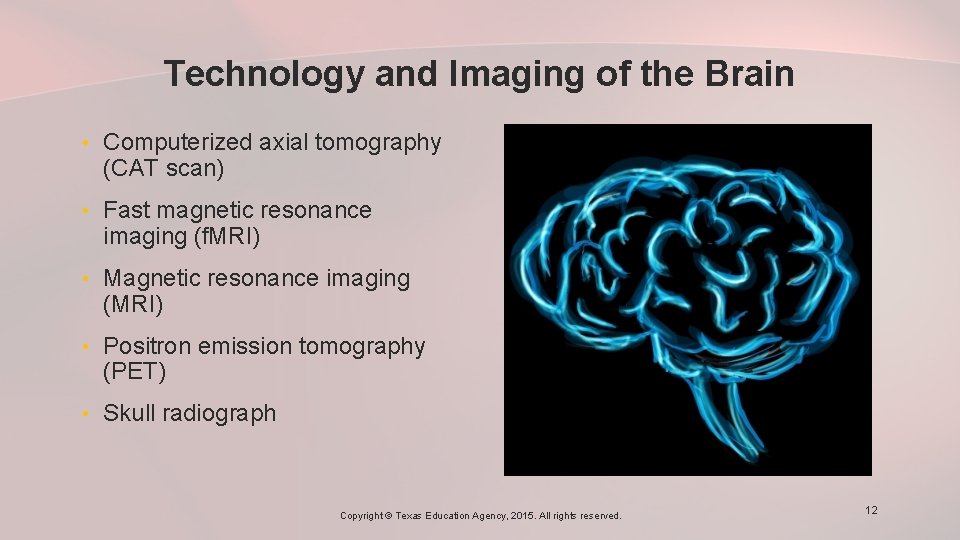 Technology and Imaging of the Brain • Computerized axial tomography (CAT scan) • Fast