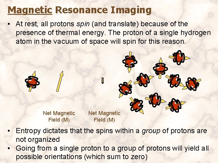 Magnetic Resonance Imaging • At rest, all protons spin (and translate) because of the