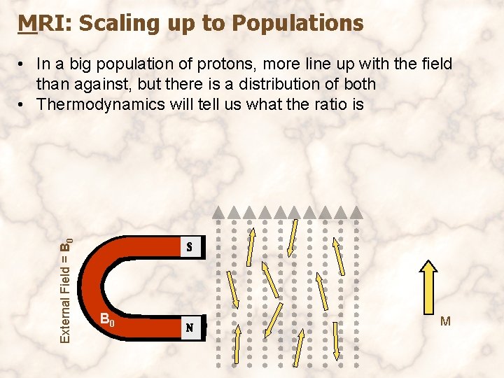 MRI: Scaling up to Populations External Field = B 0 • In a big