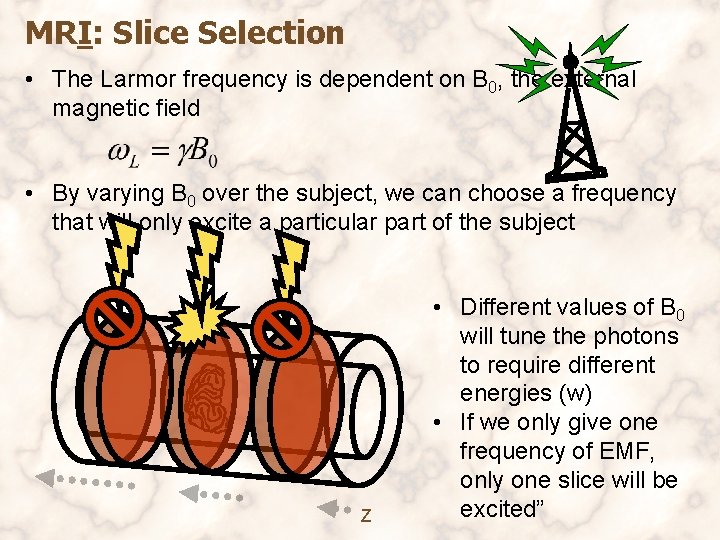 MRI: Slice Selection • The Larmor frequency is dependent on B 0, the external