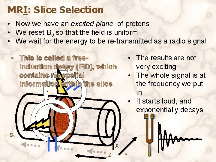 MRI: Slice Selection • Now we have an excited plane of protons • We