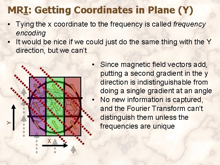 MRI: Getting Coordinates in Plane (Y) • Tying the x coordinate to the frequency