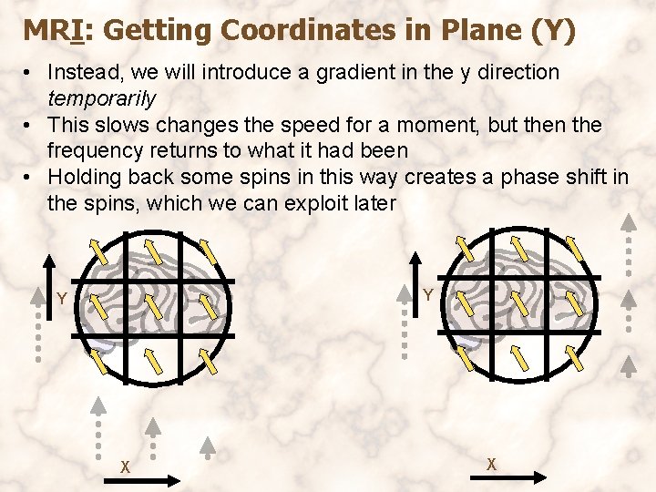 MRI: Getting Coordinates in Plane (Y) • Instead, we will introduce a gradient in