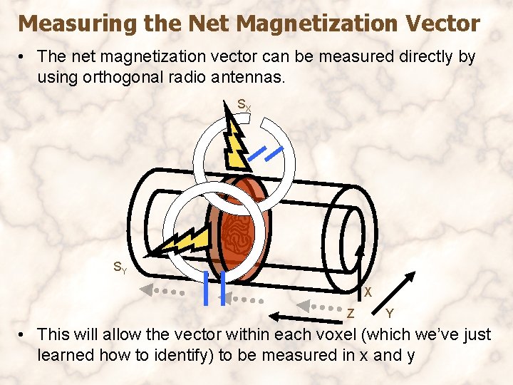 Measuring the Net Magnetization Vector • The net magnetization vector can be measured directly