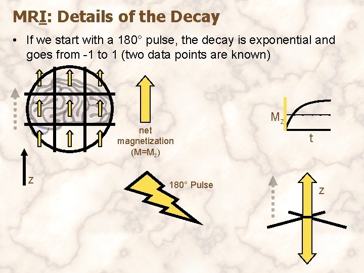 MRI: Details of the Decay • If we start with a 180° pulse, the