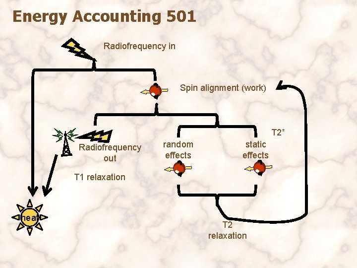 Energy Accounting 501 Radiofrequency in Spin alignment (work) T 2* Radiofrequency out random effects