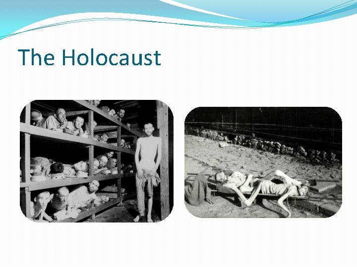 The Holocaust 