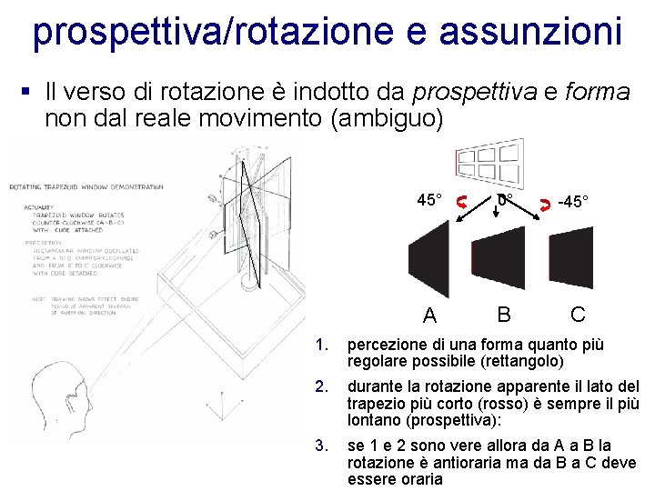 prospettiva/rotazione e assunzioni § Il verso di rotazione è indotto da prospettiva e forma