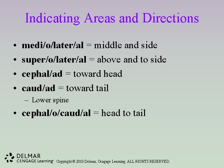 Indicating Areas and Directions • • medi/o/later/al = middle and side super/o/later/al = above