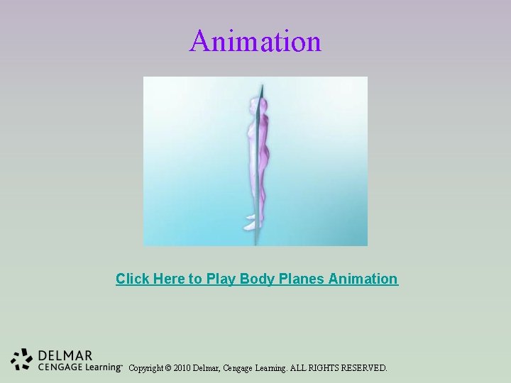 Animation Click Here to Play Body Planes Animation Copyright © 2010 Delmar, Cengage Learning.