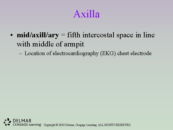 Axilla • mid/axill/ary = fifth intercostal space in line with middle of armpit –