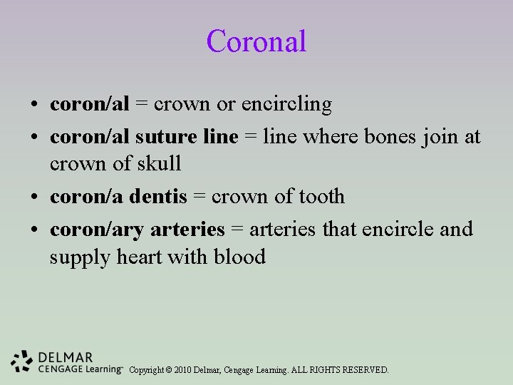 Coronal • coron/al = crown or encircling • coron/al suture line = line where