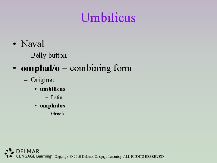 Umbilicus • Naval – Belly button • omphal/o = combining form – Origins: •