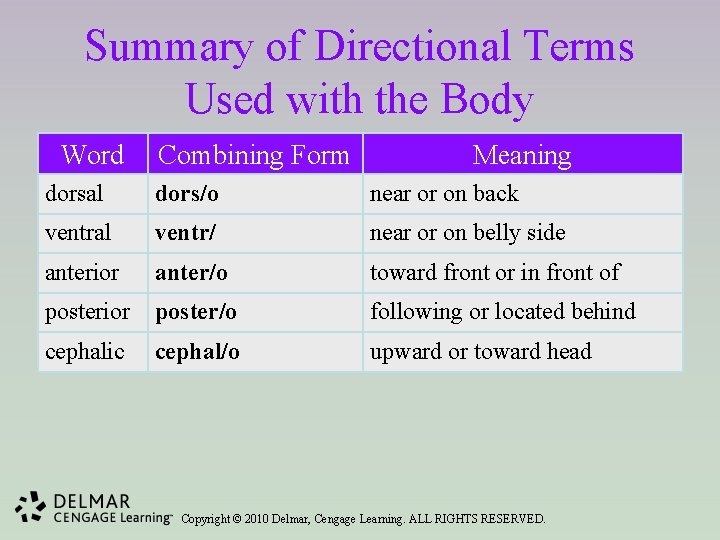 Summary of Directional Terms Used with the Body Word Combining Form Meaning dorsal dors/o