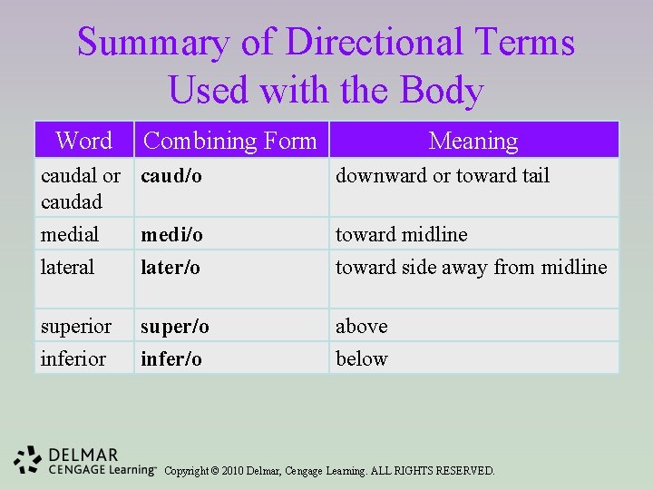 Summary of Directional Terms Used with the Body Word Combining Form Meaning caudal or