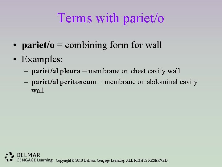 Terms with pariet/o • pariet/o = combining form for wall • Examples: – pariet/al