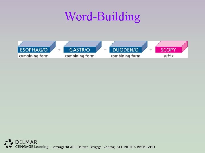 Word-Building Copyright © 2010 Delmar, Cengage Learning. ALL RIGHTS RESERVED. 