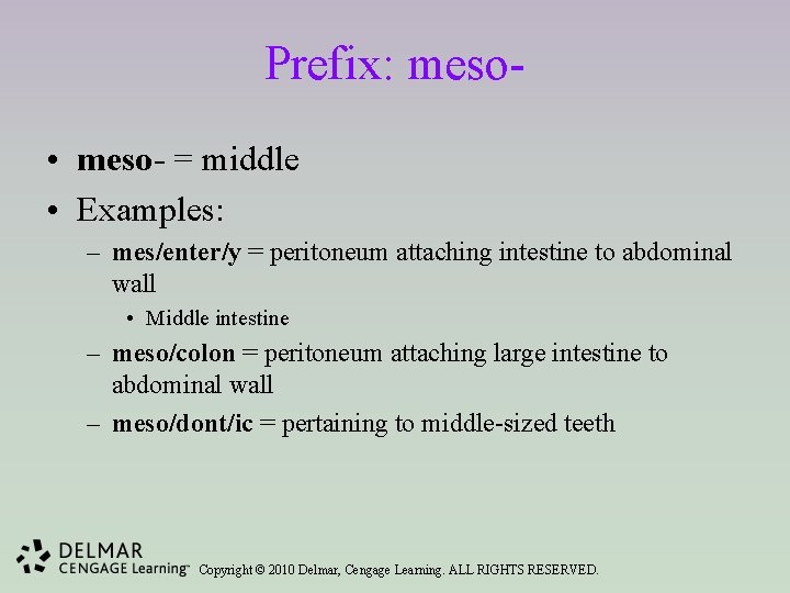 Prefix: meso • meso- = middle • Examples: – mes/enter/y = peritoneum attaching intestine