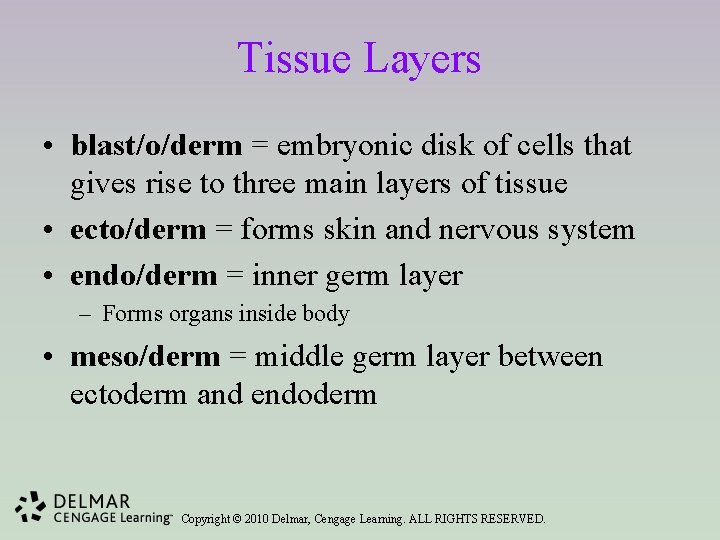 Tissue Layers • blast/o/derm = embryonic disk of cells that gives rise to three