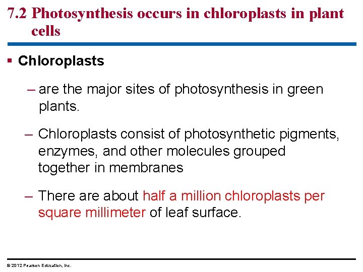 7. 2 Photosynthesis occurs in chloroplasts in plant cells § Chloroplasts – are the