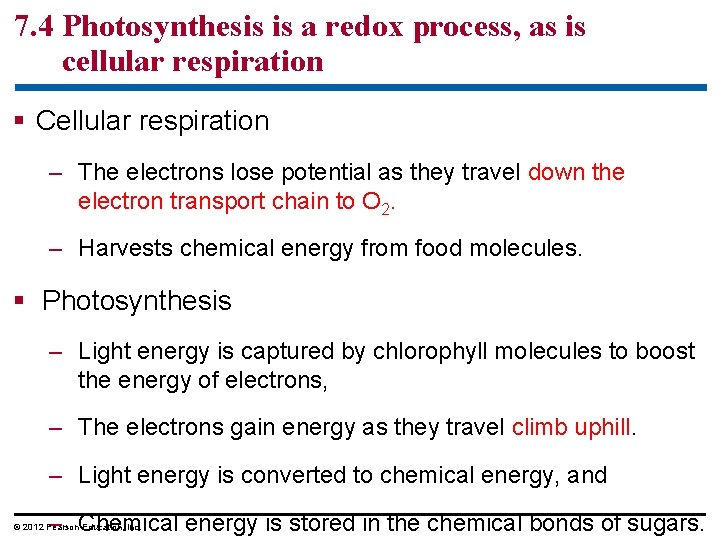 7. 4 Photosynthesis is a redox process, as is cellular respiration § Cellular respiration