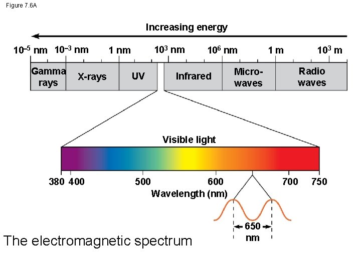 Figure 7. 6 A Increasing energy 10 5 nm 10 3 nm Gamma rays