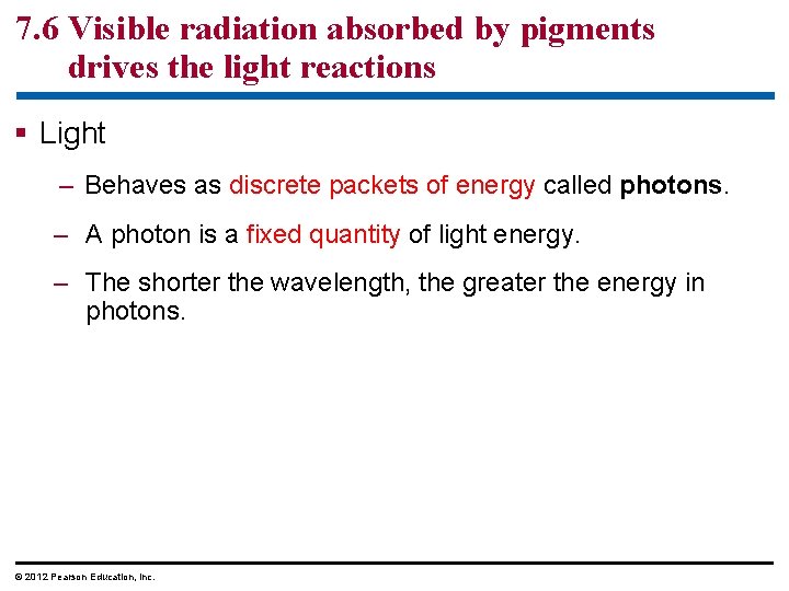 7. 6 Visible radiation absorbed by pigments drives the light reactions § Light –