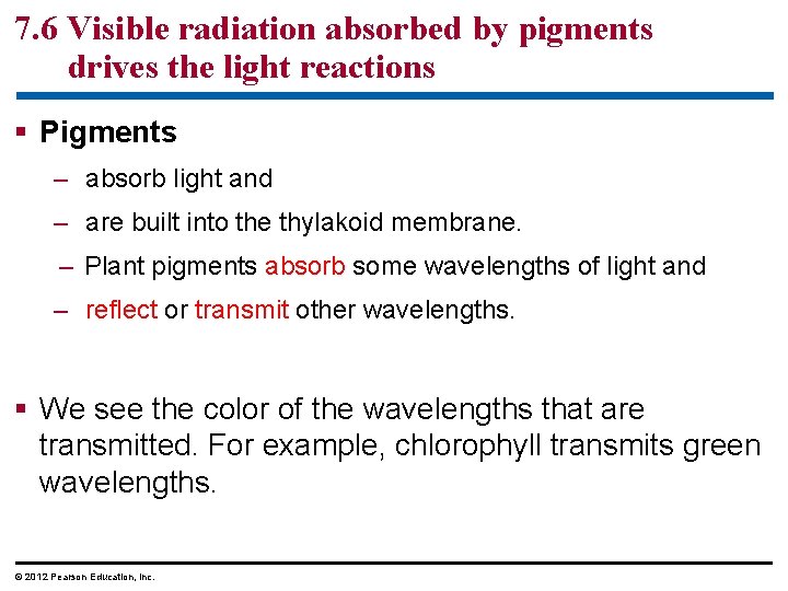 7. 6 Visible radiation absorbed by pigments drives the light reactions § Pigments –