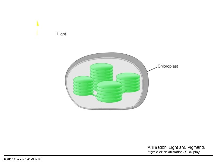 Animation: Light and Pigments Right click on animation / Click play © 2012 Pearson