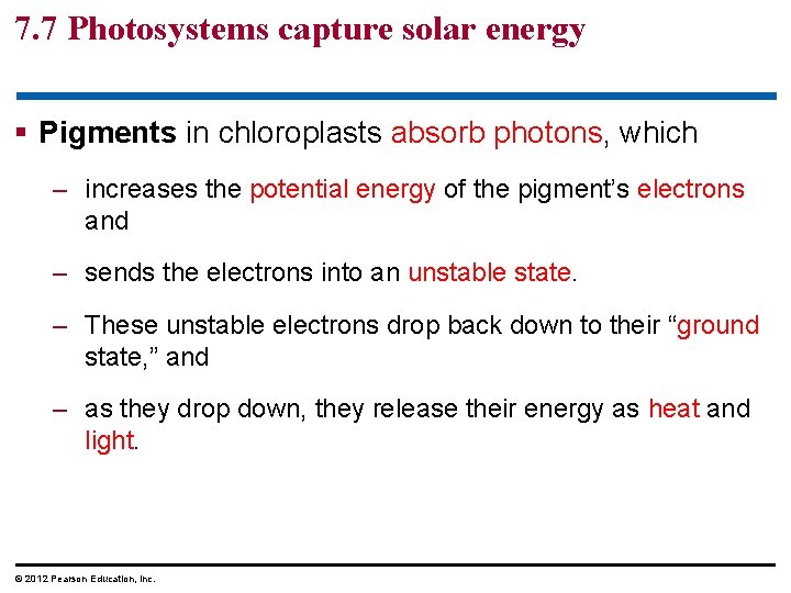 7. 7 Photosystems capture solar energy § Pigments in chloroplasts absorb photons, which –