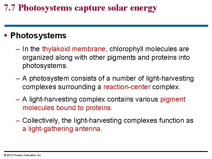 7. 7 Photosystems capture solar energy § Photosystems – In the thylakoid membrane, chlorophyll