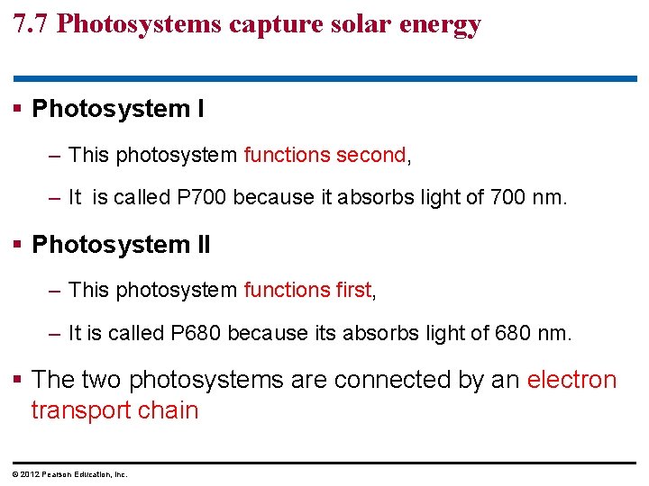 7. 7 Photosystems capture solar energy § Photosystem I – This photosystem functions second,