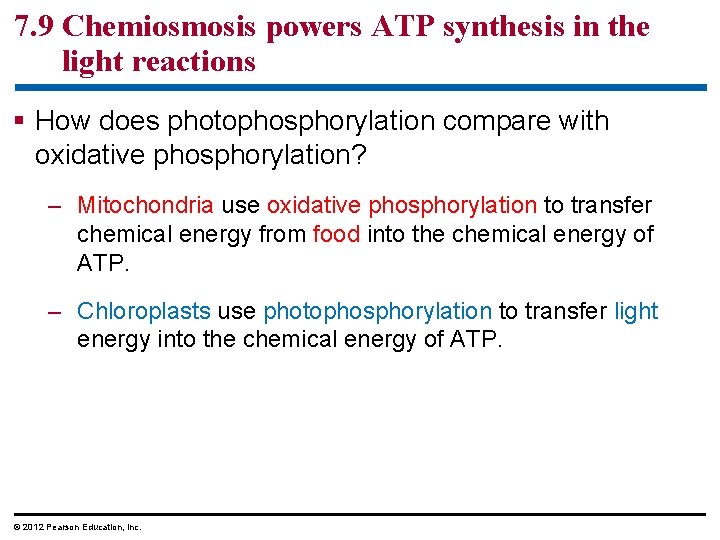 7. 9 Chemiosmosis powers ATP synthesis in the light reactions § How does photophosphorylation