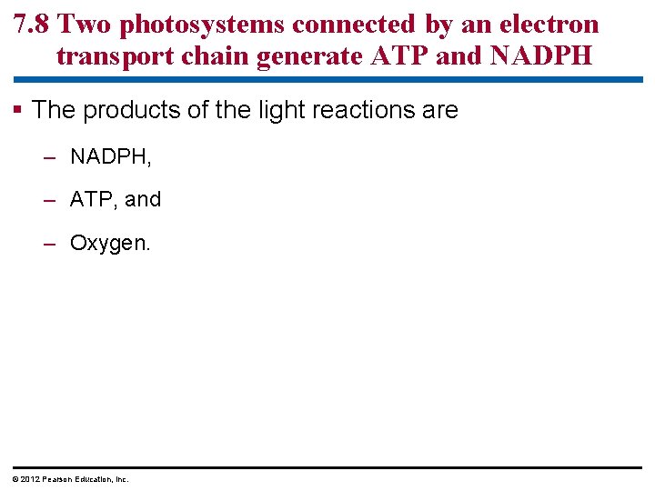 7. 8 Two photosystems connected by an electron transport chain generate ATP and NADPH