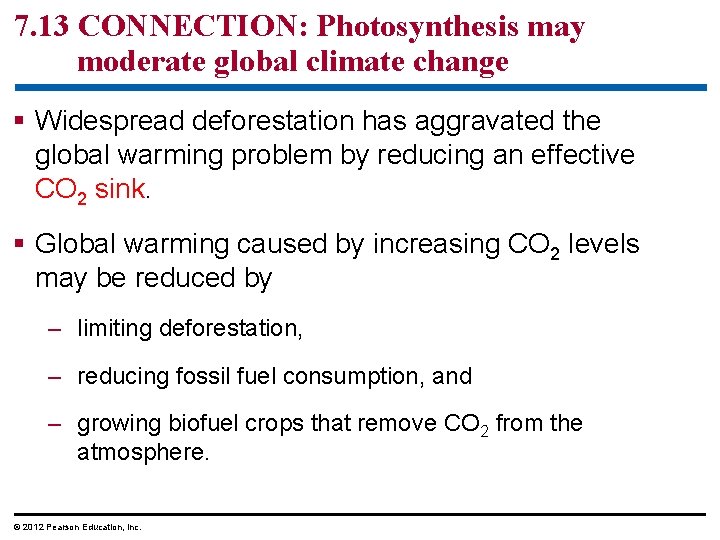 7. 13 CONNECTION: Photosynthesis may moderate global climate change § Widespread deforestation has aggravated