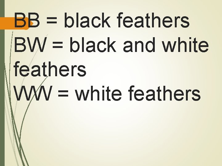 BB = black feathers BW = black and white feathers WW = white feathers