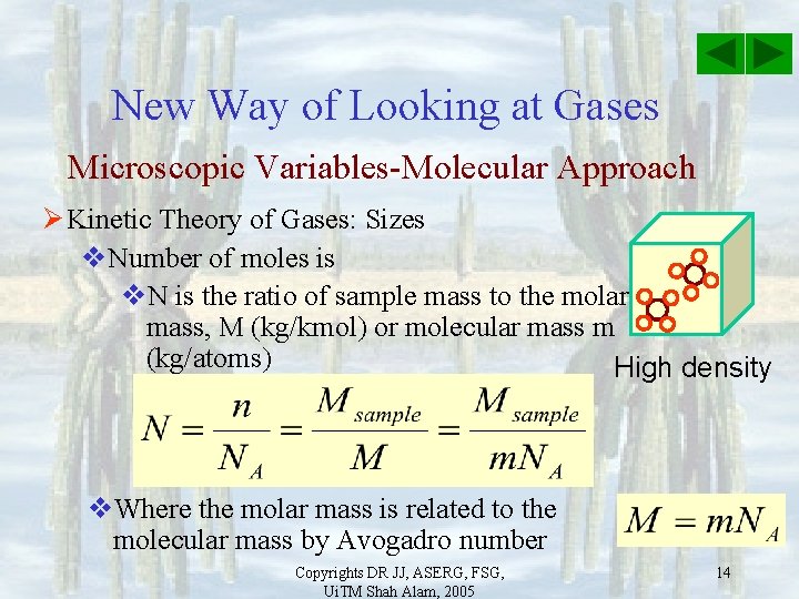 New Way of Looking at Gases Microscopic Variables-Molecular Approach Ø Kinetic Theory of Gases: