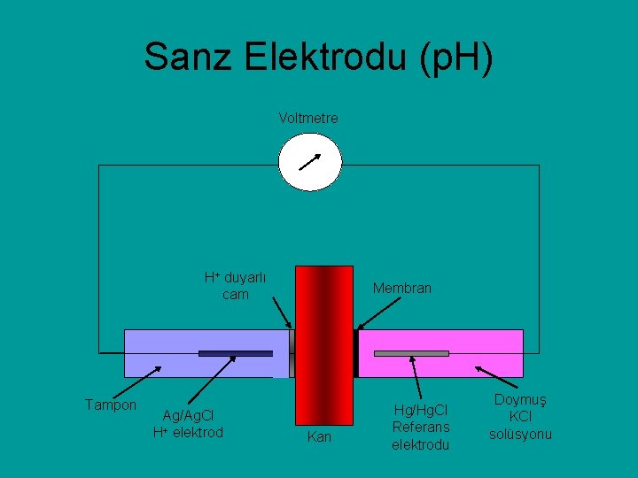 Sanz Elektrodu (p. H) Voltmetre H+ duyarlı cam Tampon Ag/Ag. Cl H+ elektrod Membran