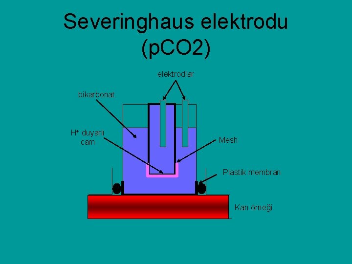 Severinghaus elektrodu (p. CO 2) elektrodlar bikarbonat H+ duyarlı cam Mesh Plastik membran Kan