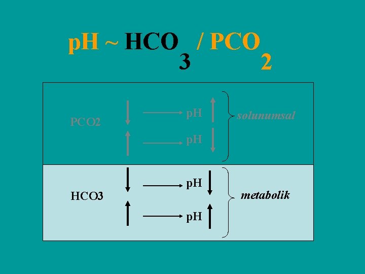 p. H ~ HCO / PCO 3 2 PCO 2 p. H solunumsal p.