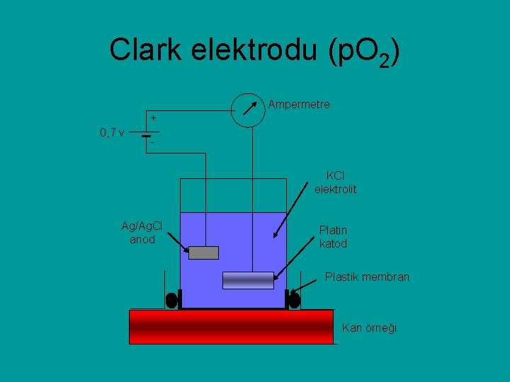 Clark elektrodu (p. O 2) Ampermetre + 0, 7 v KCl elektrolit Ag/Ag. Cl