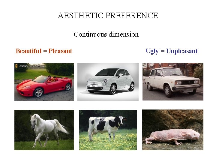 AESTHETIC PREFERENCE Continuous dimension Beautiful = Pleasant Ugly = Unpleasant 
