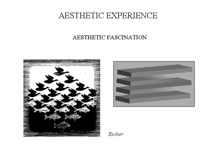 AESTHETIC EXPERIENCE AESTHETIC FASCINATION Escher 